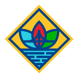 AAPI logo