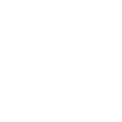 The Tampa Bay Lightning logo