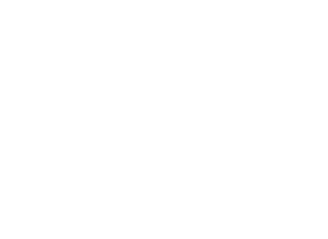 Tampa Bay Lightning Logo
